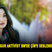 Uygur aktivist BM’de, Doğu Türkistan’daki hak ihlallerinin durdurulması çağrısında bulundu